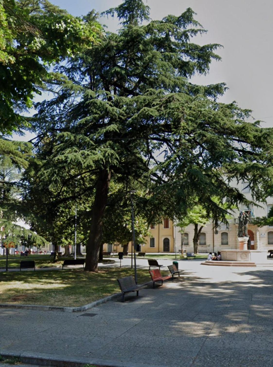 La Rosa Di Apartamento